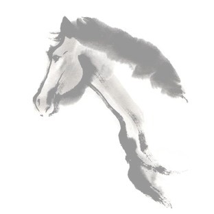 Welcome to the Senshu Univ. Equestrian Team�I