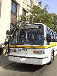 Boston bus