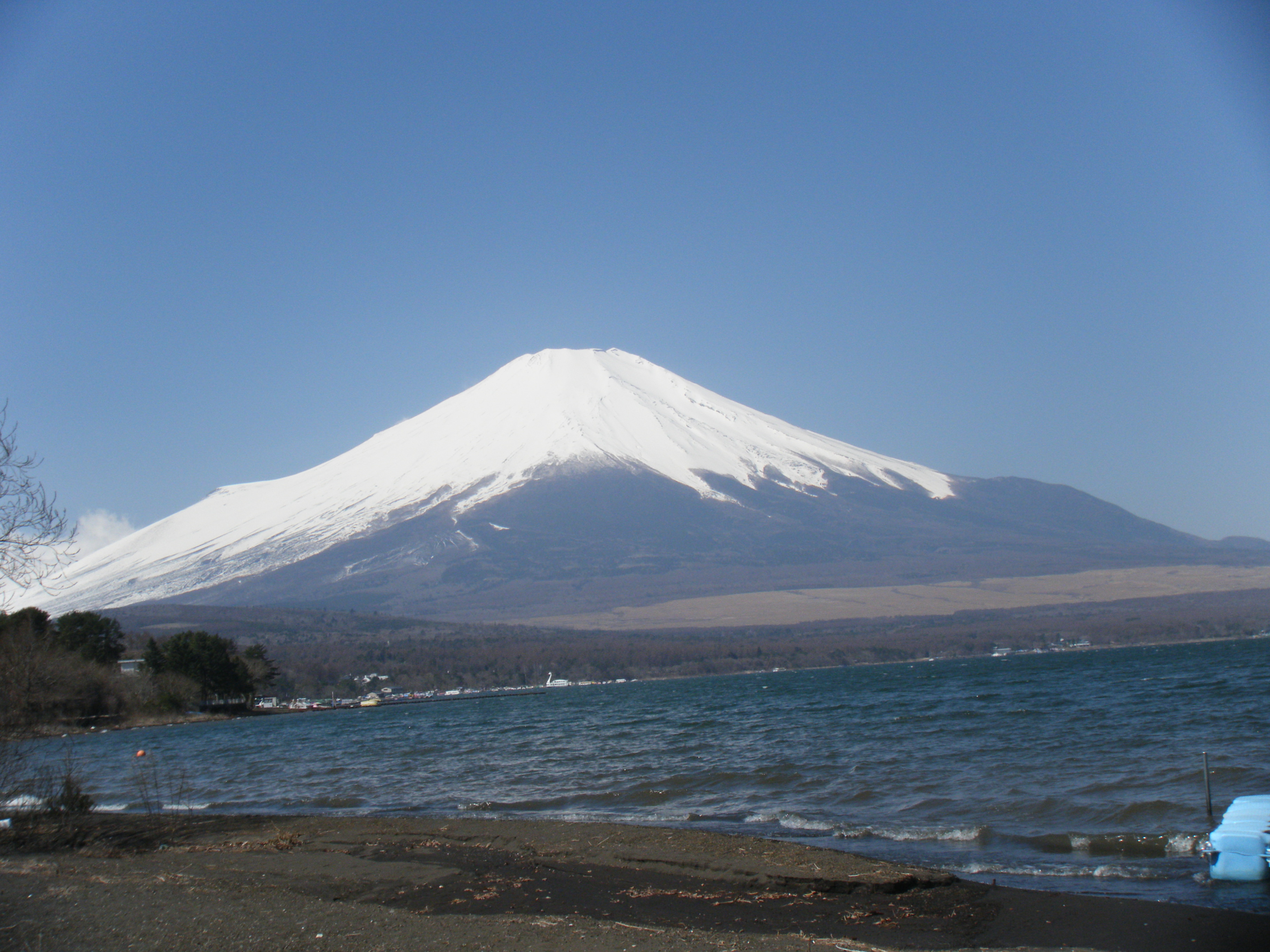 サンプル画像